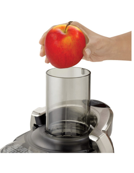 Extractor De Jugos Black Decker 500 W 2 Vel. Recipiente Con Jarra Negro-Plateado